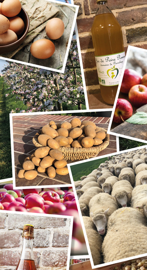 patchwork-produits-ferme-de-pierrelaye